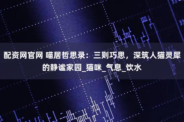 配资网官网 喵居哲思录：三则巧思，深筑人猫灵犀的静谧家园_猫咪_气息_饮水