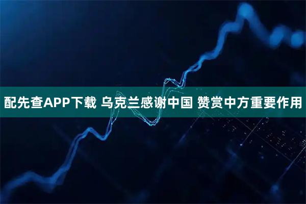 配先查APP下载 乌克兰感谢中国 赞赏中方重要作用